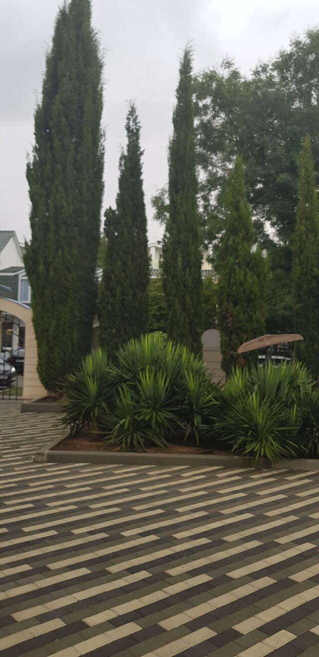 Гостиница Юлиана Евпатория-16