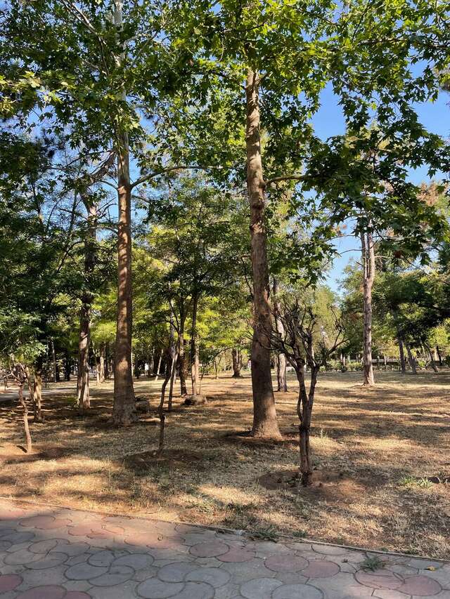 Гостиница Юлиана Евпатория-59