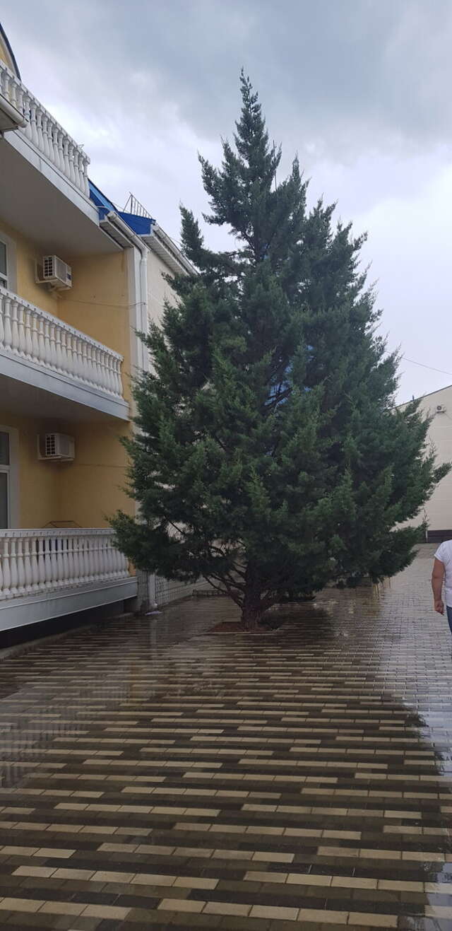 Гостиница Юлиана Евпатория-36